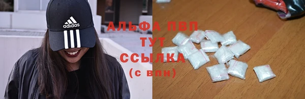 прущая мука Вяземский