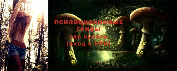 прущая мука Вяземский