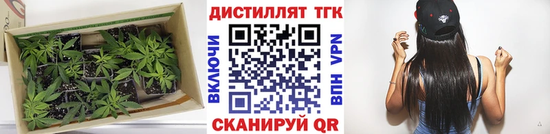ТГК THC oil  Электрогорск 