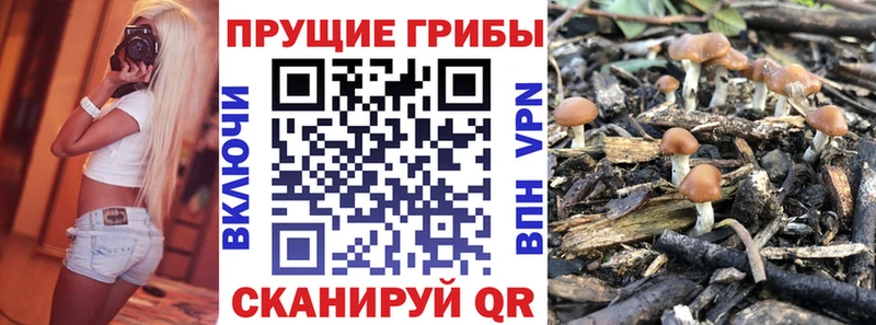 Псилоцибиновые грибы Magic Shrooms где найти наркотики Электрогорск
